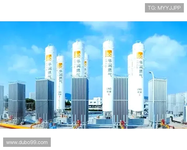 探索rmeeting华润：数字化转型与企业创新的完美结合